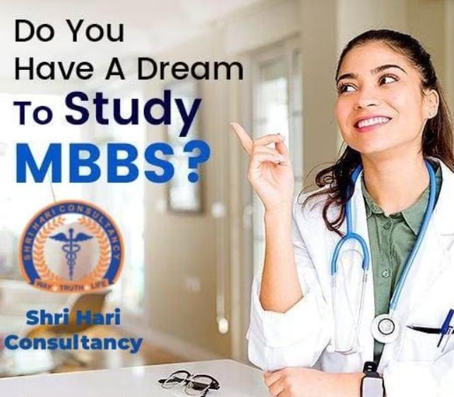 affordable mbbs fees