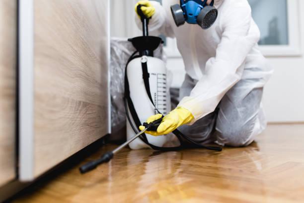 delhi ncr pest control service
