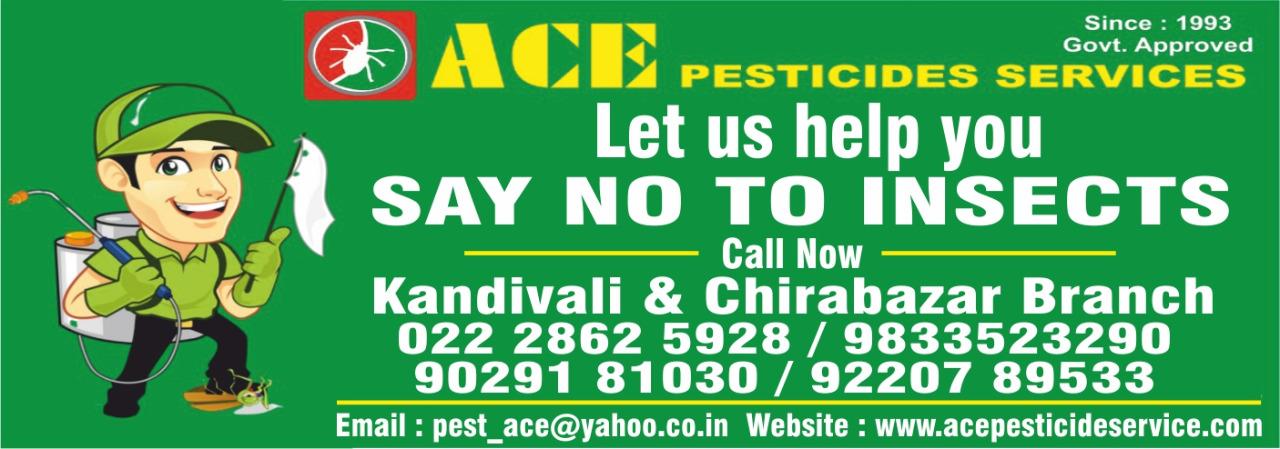 termite pest control dadar