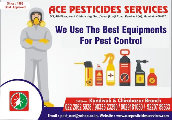 pest control price