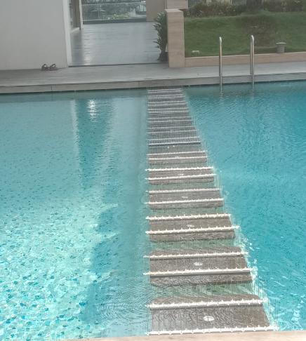 bird spike solutions