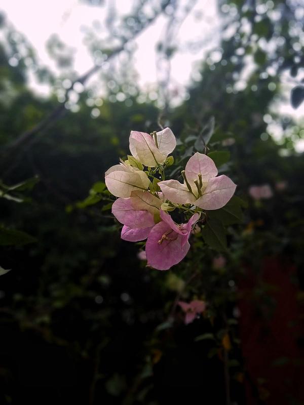 update image