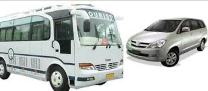 car rentals