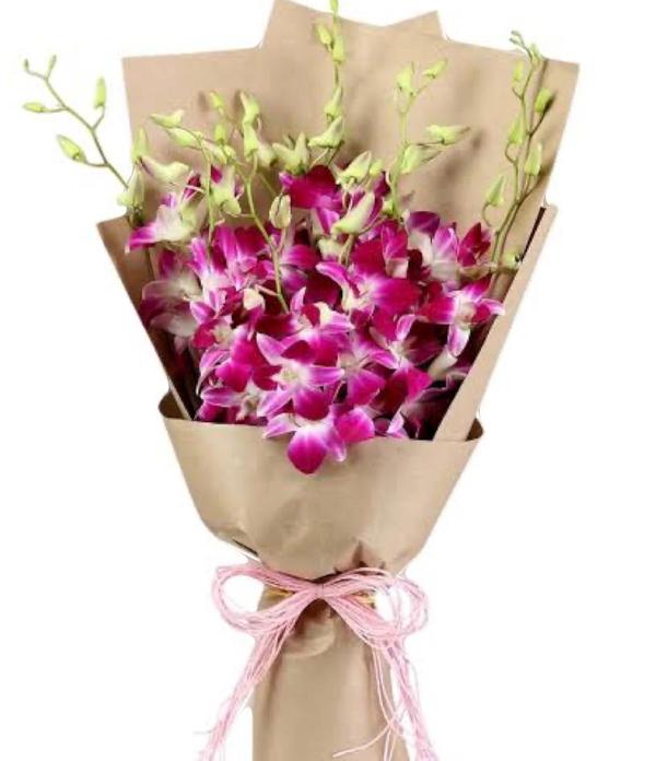 beautiful plants with pots ran