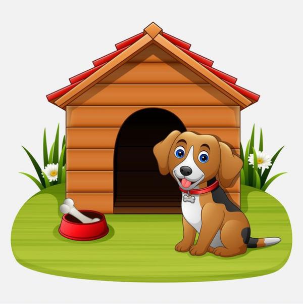 khopat dog hostel