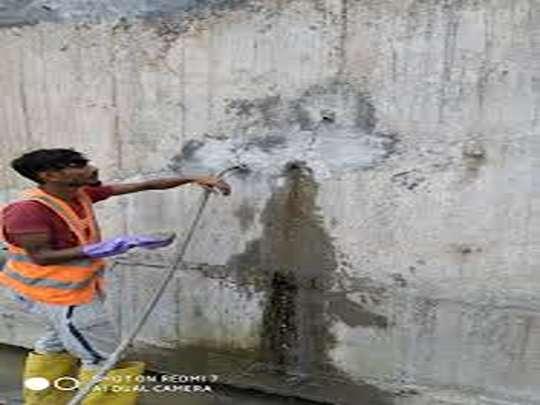 royal paints paint dealer in t