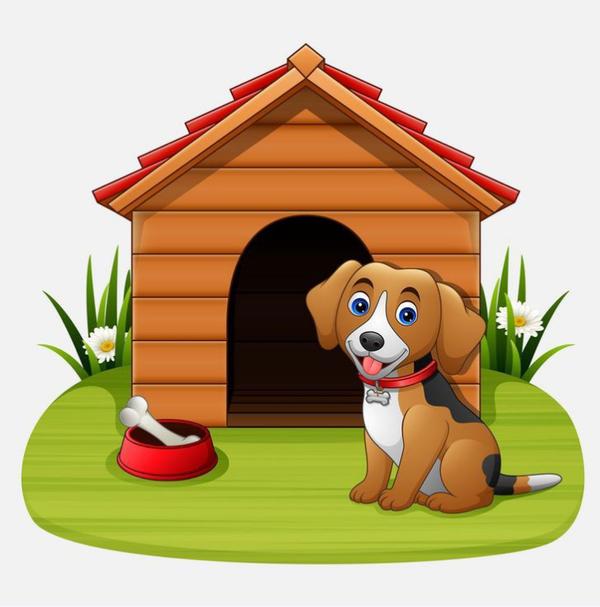 ghodbunder road dog hostel