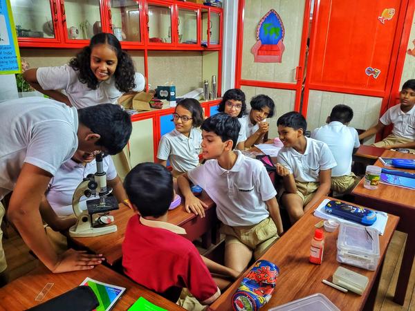 A VIEW OF THE PLANT CELL 