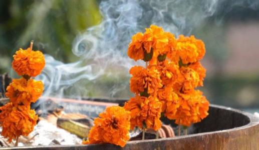 experienced pandits guide