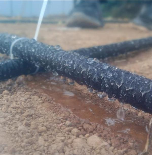 long term protection