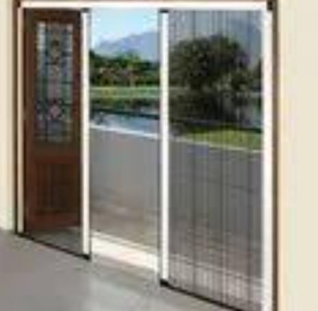 pest free environment