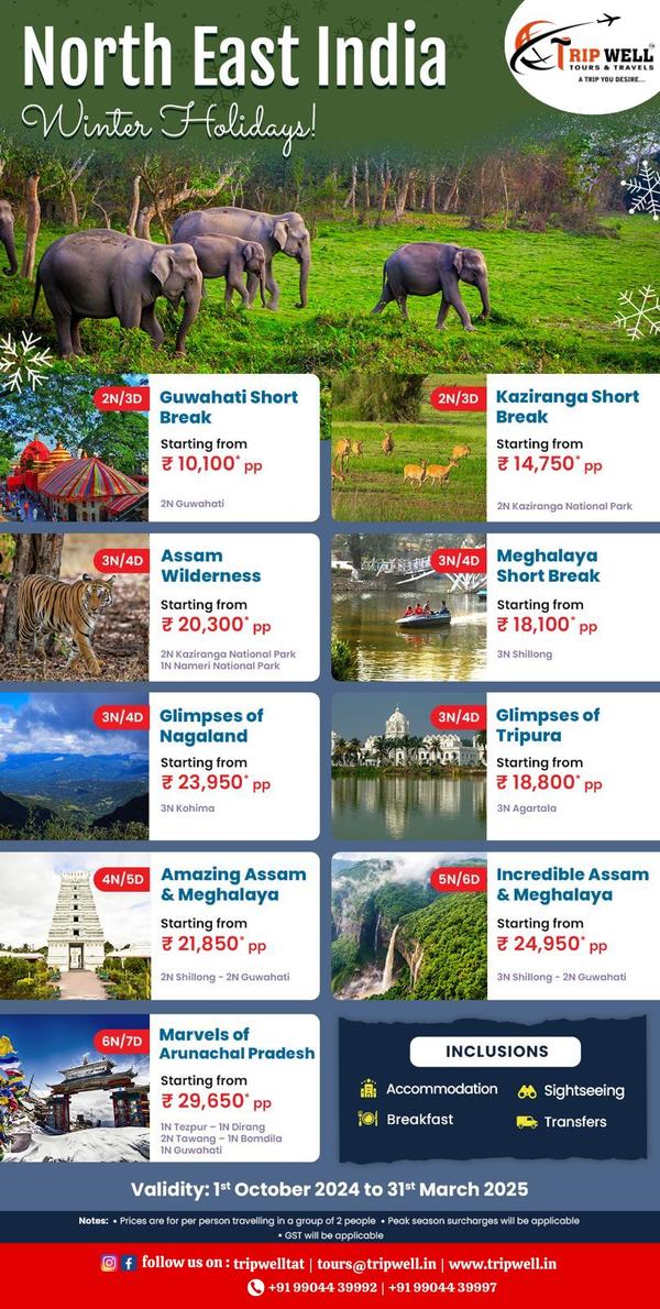 vibrant cultures