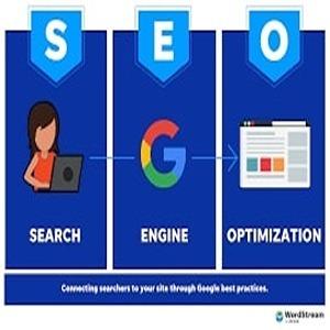 seo professionals