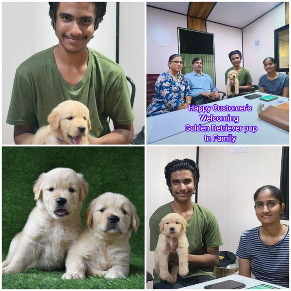 reputable puppy sellers