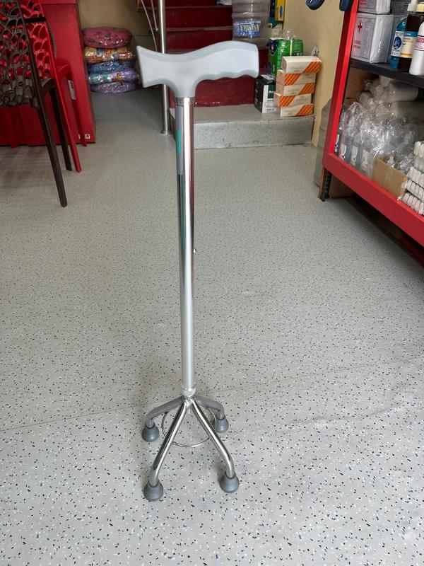 handicap walking stick in moun