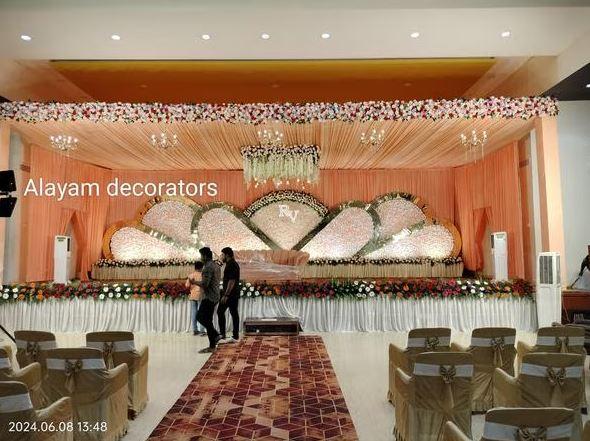 stylish backdrops