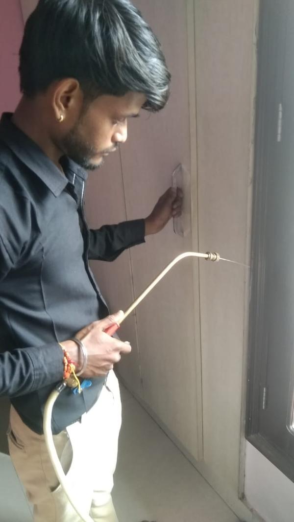 termite and rodent removal exp