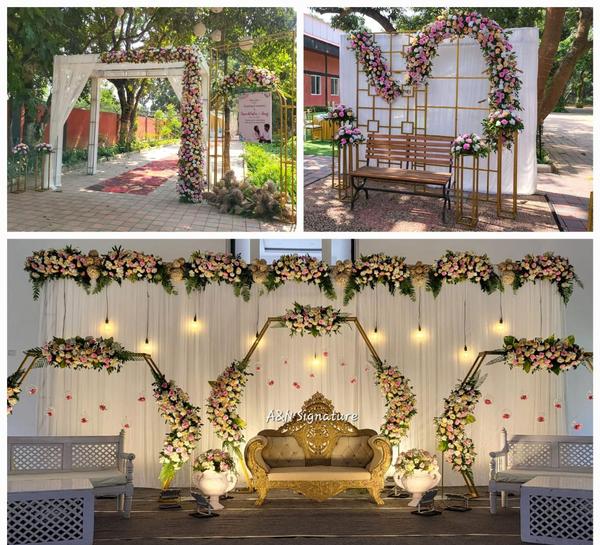 beautiful plants with pots ran