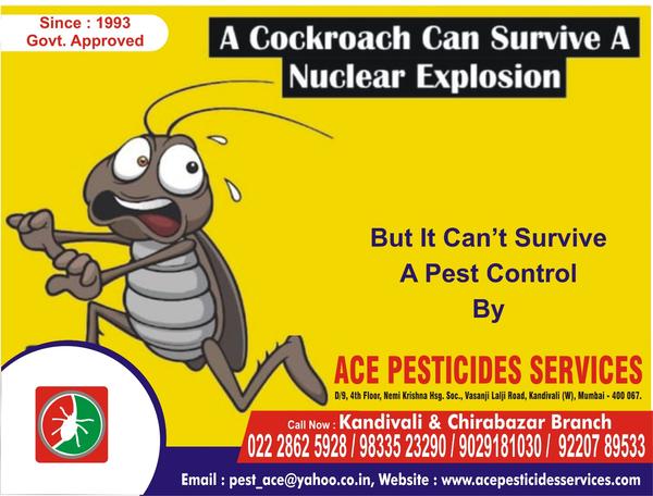 commercial pest control compan