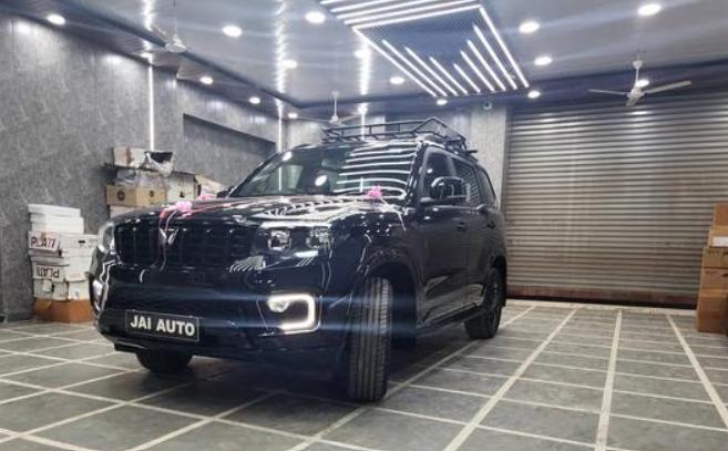 scorpio best modification brow
