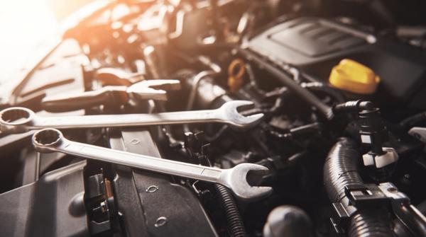 Longevity Maintenance: Prolong