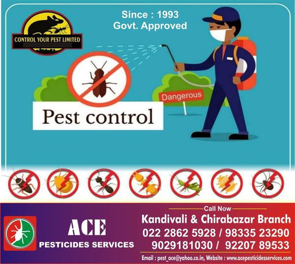 popular residential pest contr