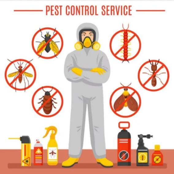 professional pest management s
