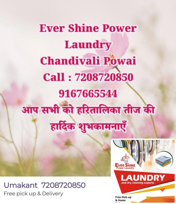 laundry pickup and delivery se