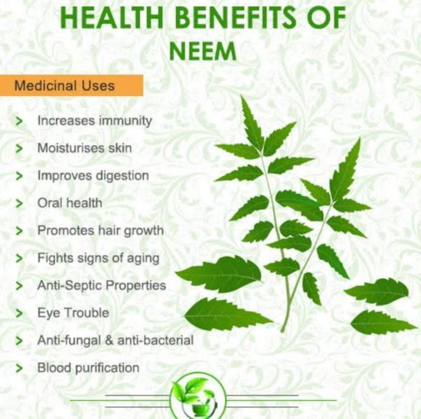 oral health