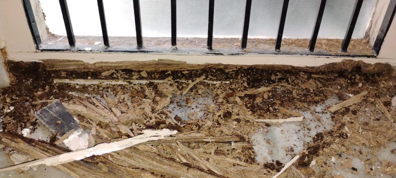 hyderabad safety chemicals