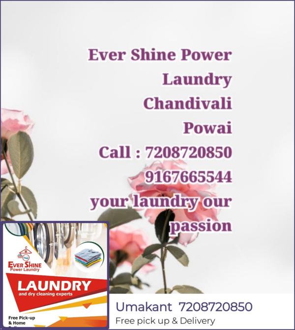 laundry pickup and delivery se