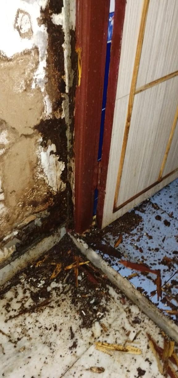 choukhats termite control