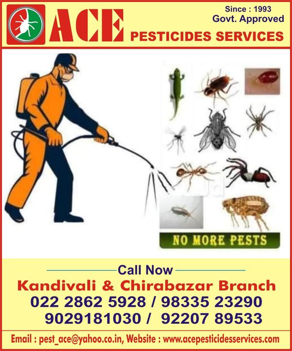popular residential pest contr
