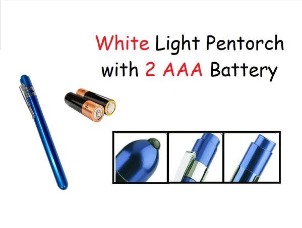 pen torch