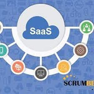 seo friendly website design