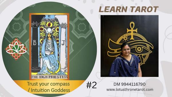 learn tarot with lotus throne