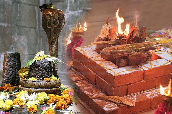 snake related dosha pacificati