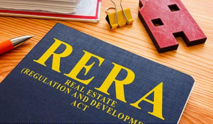 real estate sector
