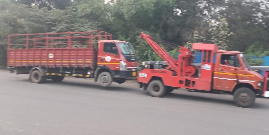 professional dependable