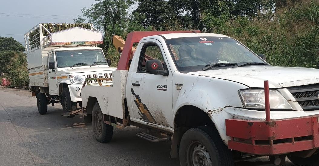 professional dependable