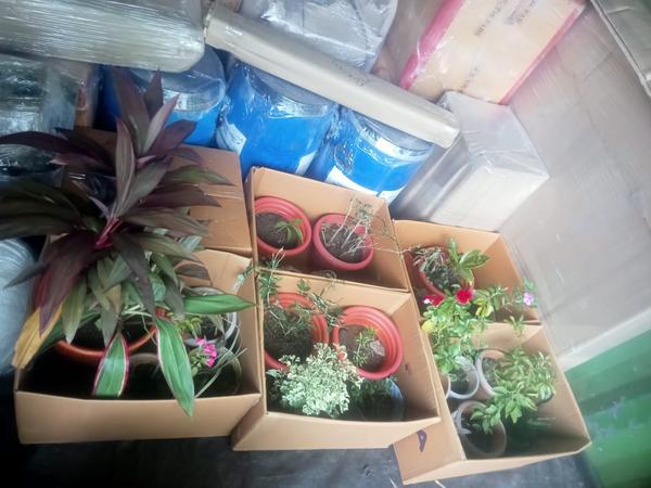 Maharaja packers and movers wa