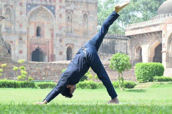 wellness journey
