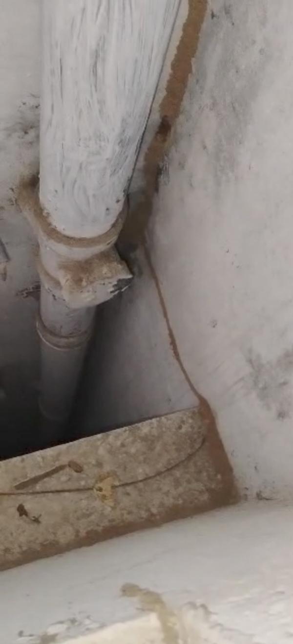 pest control services in nizam