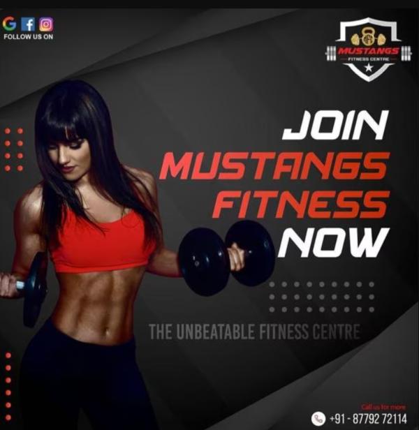 fitness experts