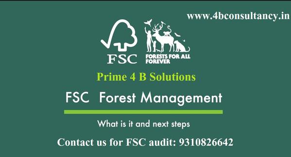 sustainable forest management 