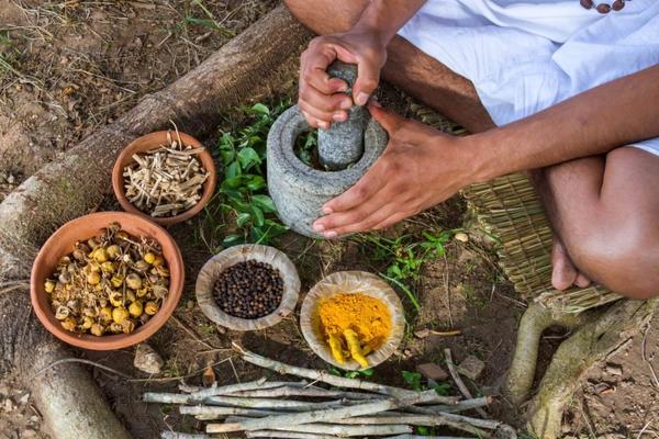 nourishing soups