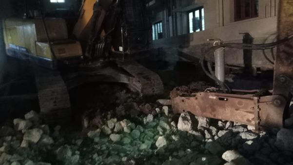 chennai tree excavation servic