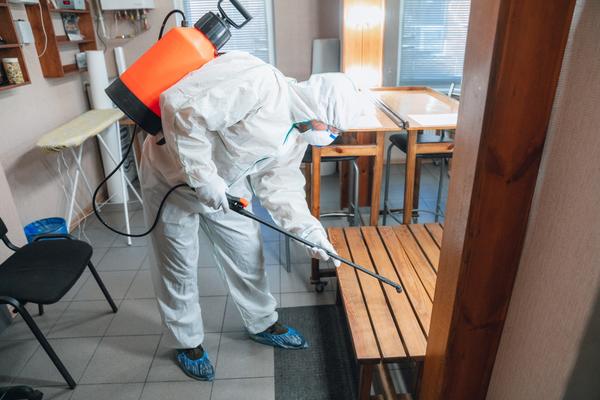 commercial pest control delhi 