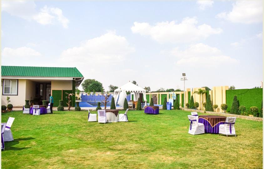 celebration surrounded