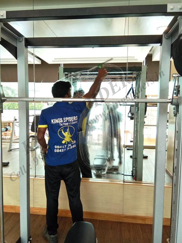 ecofriendly cleaning solutions